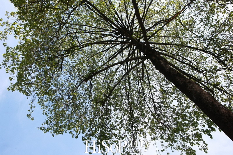 NAI LERT PARK HERITAGE HOME BANGKOK