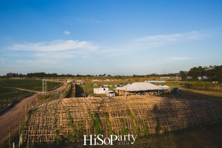 WONDERFRUIT  Festival