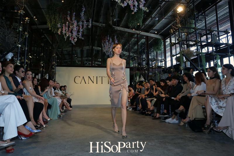 CANITT: Shades of Meaning