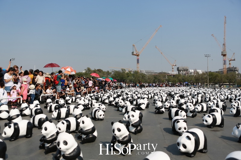 เปิดกิจกรรมแฟลชม็อบ 1600 Pandas+ World Tour in Thailand