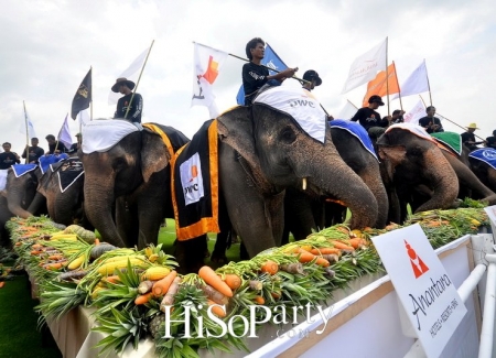 การแข่งขันโปโลช้างชิงถ้วยพระราชทานพระบาทสมเด็จพระเจ้าอยู่หัว 2016