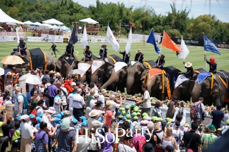 การแข่งขันโปโลช้างชิงถ้วยพระราชทานพระบาทสมเด็จพระเจ้าอยู่หัว 2016