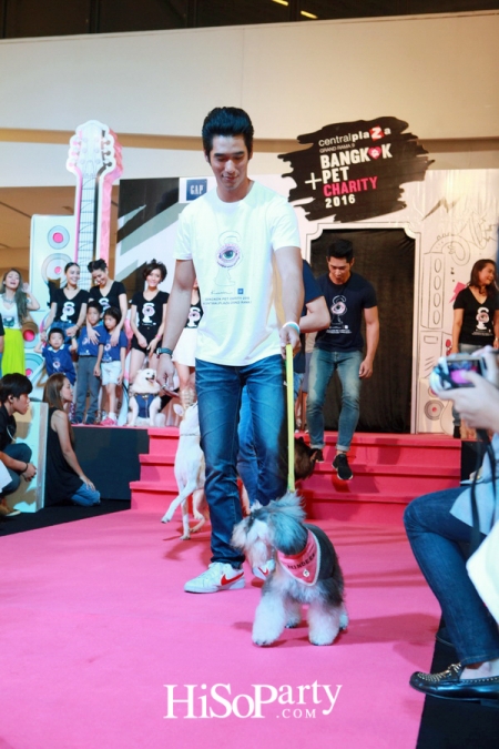 BKK Pet Charity 2016