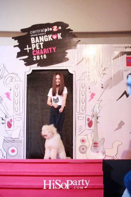 BKK Pet Charity 2016