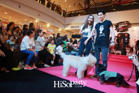 BKK Pet Charity 2016