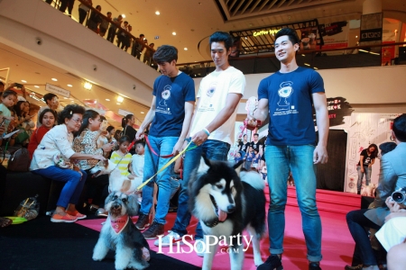 BKK Pet Charity 2016