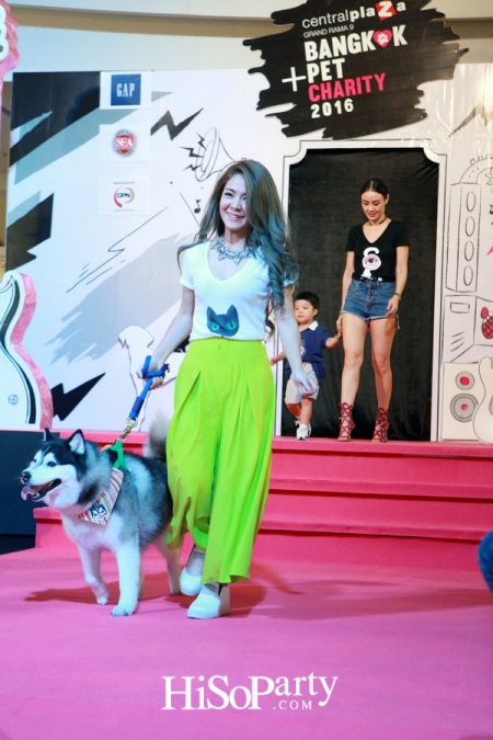 BKK Pet Charity 2016