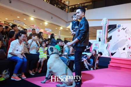 BKK Pet Charity 2016