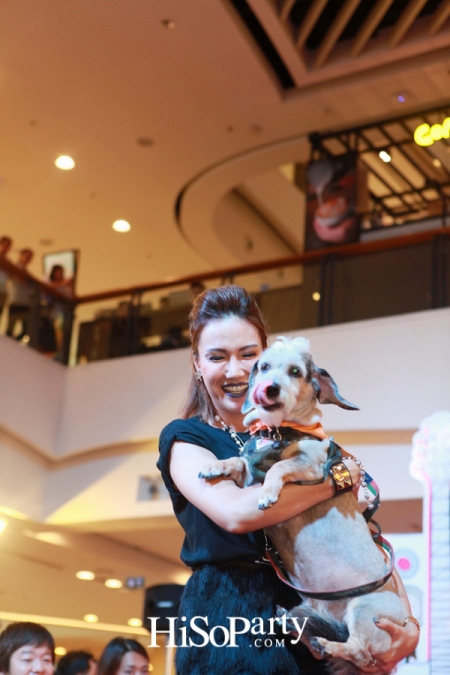 BKK Pet Charity 2016