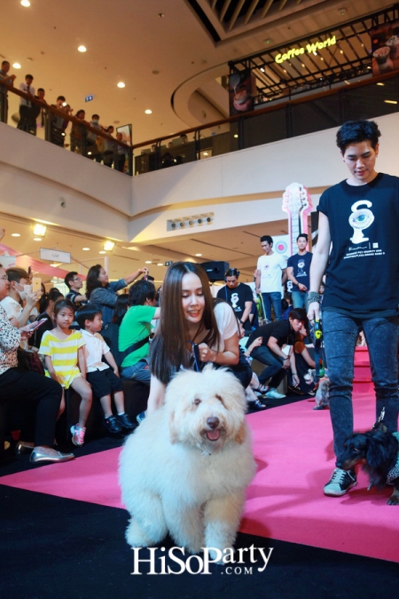 BKK Pet Charity 2016