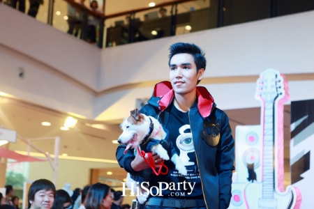 BKK Pet Charity 2016