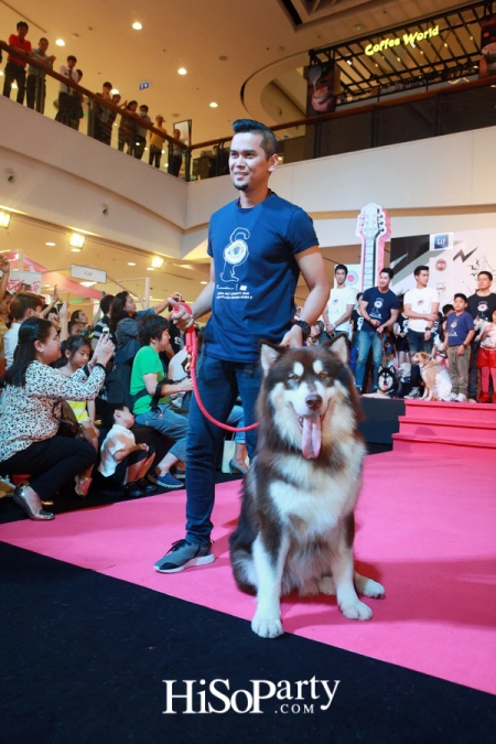 BKK Pet Charity 2016