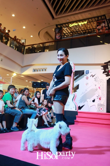 BKK Pet Charity 2016