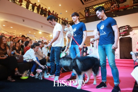 BKK Pet Charity 2016