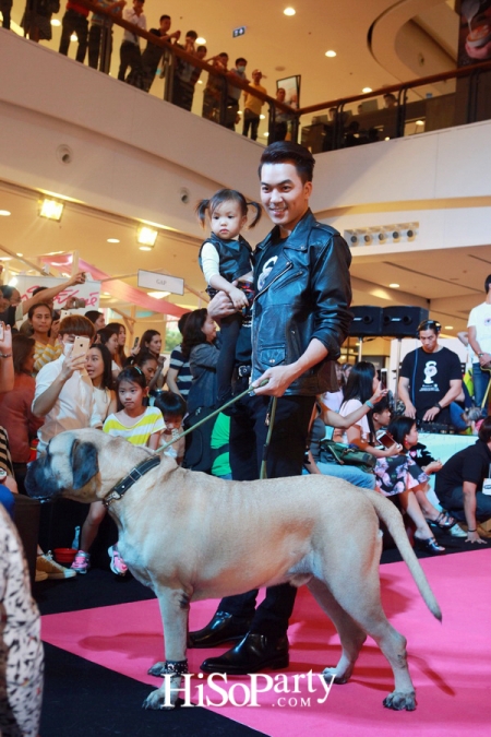 BKK Pet Charity 2016