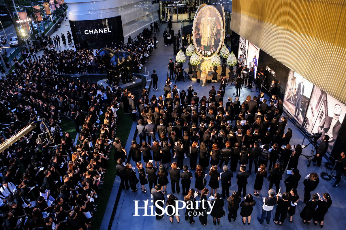 ในหลวง...ในดวงใจราษฎร์ : KING OF OUR HEARTS