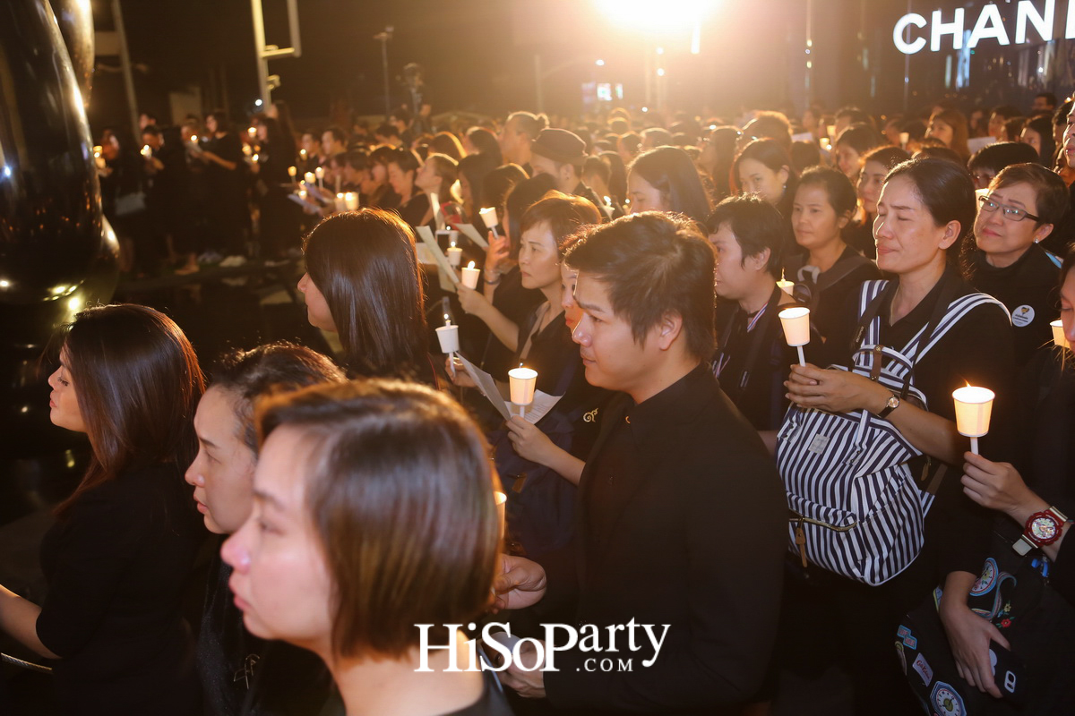 ในหลวง...ในดวงใจราษฎร์ : KING OF OUR HEARTS