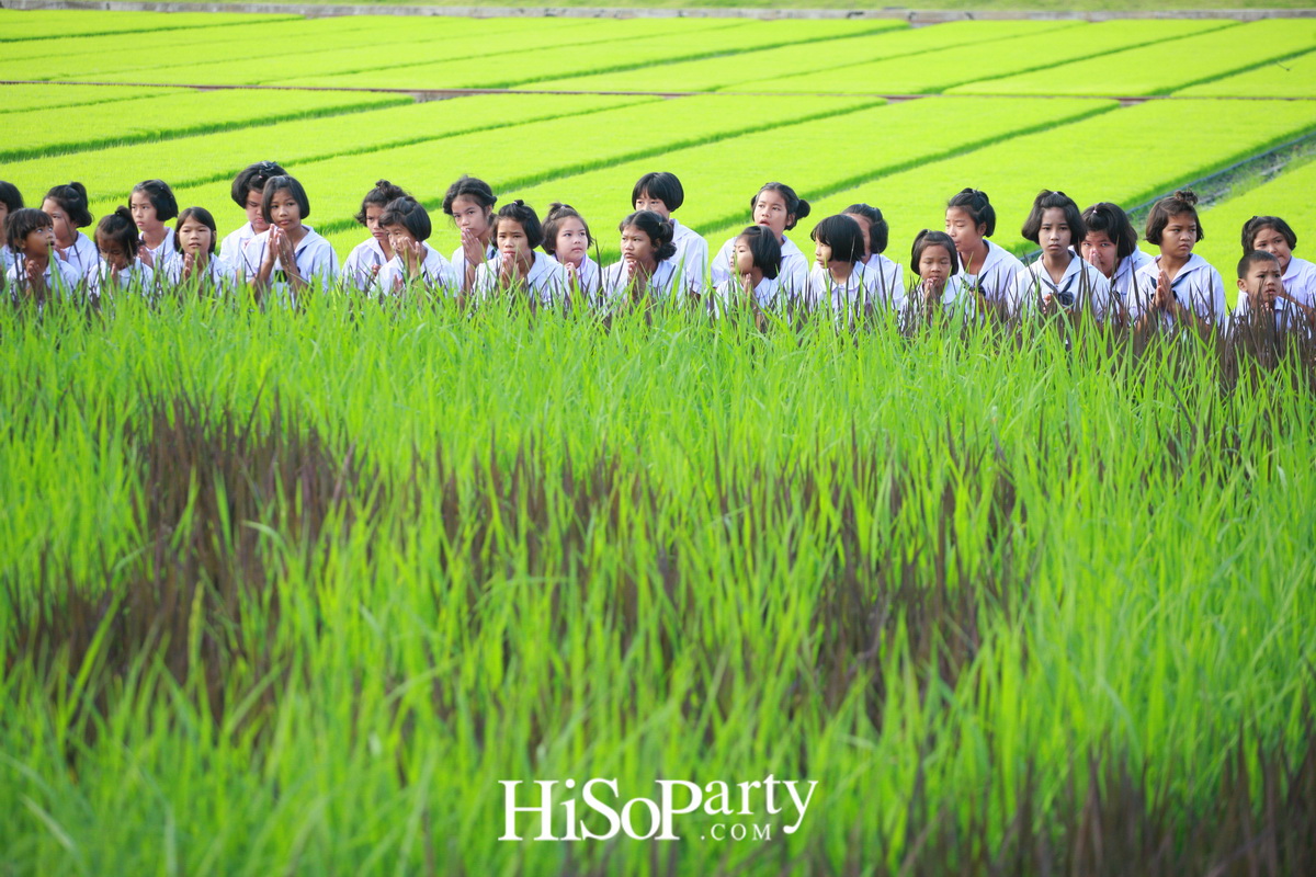 ทำบุญ รับขวัญข้าว เรารักพ่อหลวง