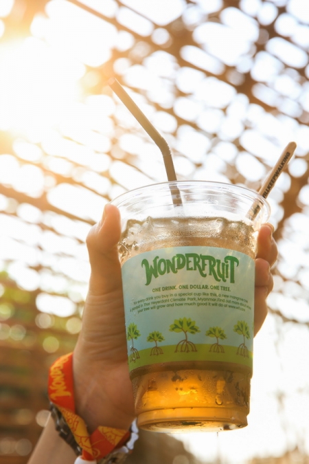 Wonderfruit 2017 : Live*Love*Wonder