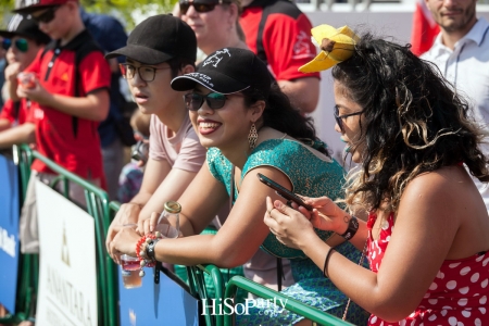 King’s Cup Elephant Polo : การแข่งขันโปโลช้างชิงถ้วยพระราชทานพระบาทสมเด็จพระเจ้าอยู่หัว ครั้งที่ 15