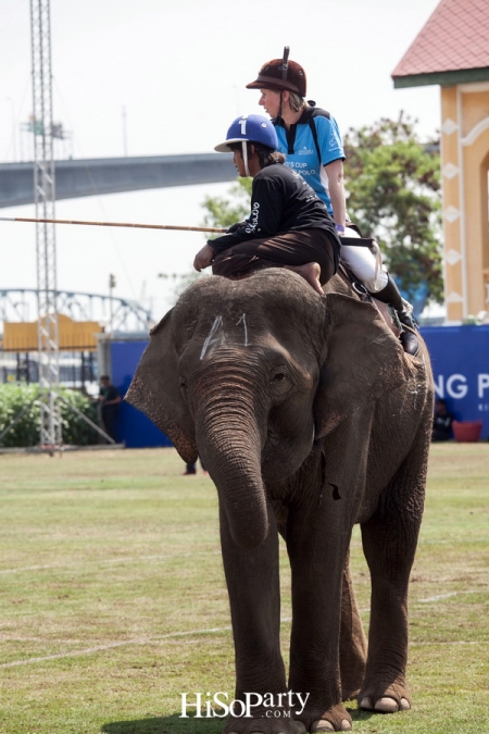 King’s Cup Elephant Polo : การแข่งขันโปโลช้างชิงถ้วยพระราชทานพระบาทสมเด็จพระเจ้าอยู่หัว ครั้งที่ 15