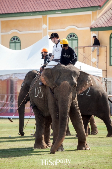 King’s Cup Elephant Polo : การแข่งขันโปโลช้างชิงถ้วยพระราชทานพระบาทสมเด็จพระเจ้าอยู่หัว ครั้งที่ 15