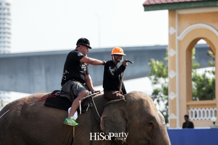 King’s Cup Elephant Polo : การแข่งขันโปโลช้างชิงถ้วยพระราชทานพระบาทสมเด็จพระเจ้าอยู่หัว ครั้งที่ 15