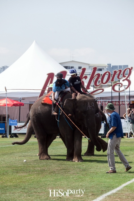 King’s Cup Elephant Polo : การแข่งขันโปโลช้างชิงถ้วยพระราชทานพระบาทสมเด็จพระเจ้าอยู่หัว ครั้งที่ 15