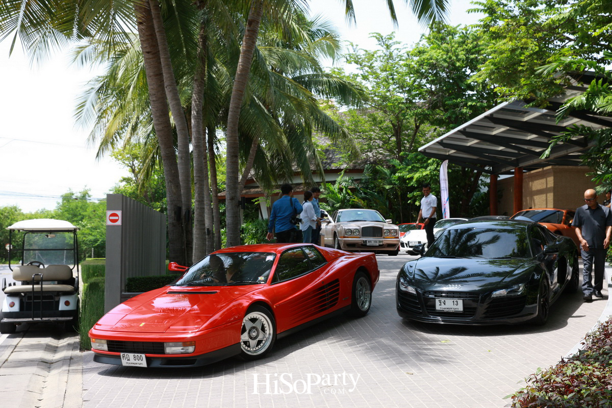 HiSoParty 14th Anniversary Celebration