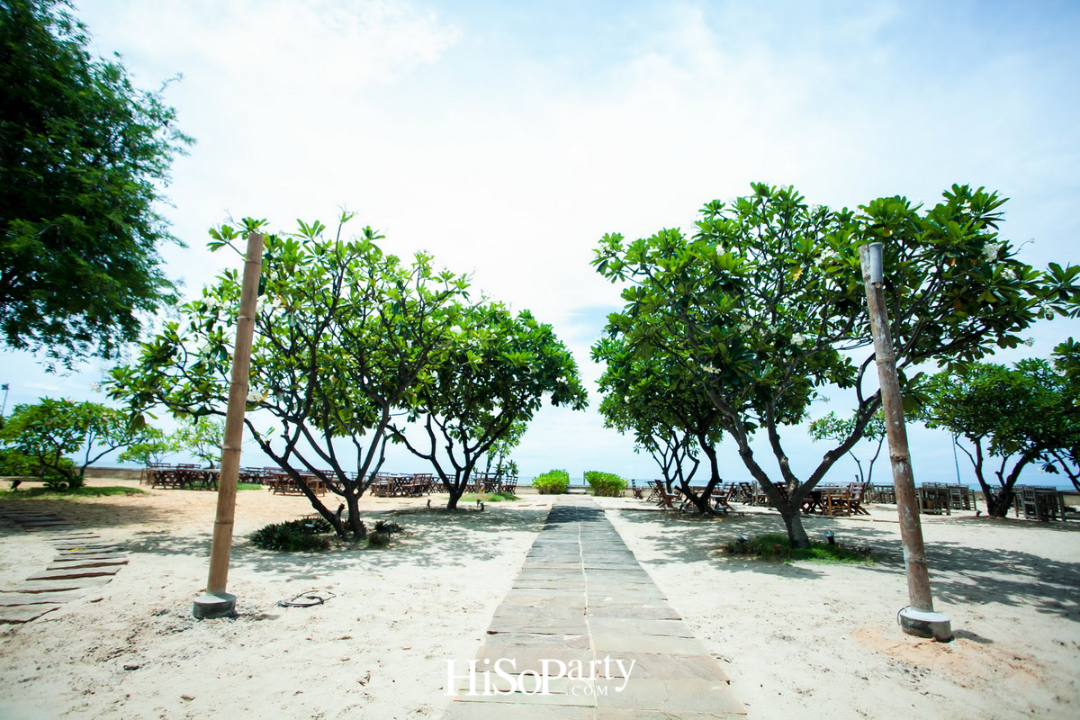 HiSoParty 14th Anniversary Celebration