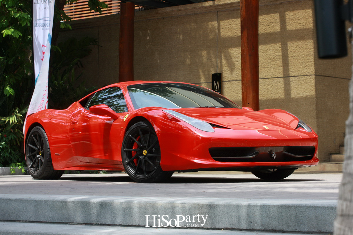 HiSoParty 14th Anniversary Celebration