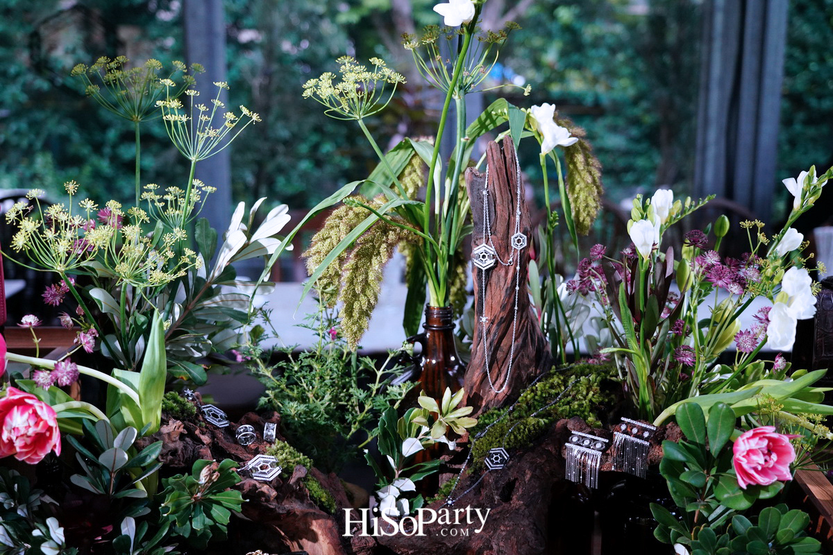 PHYA: The Geometry Collection