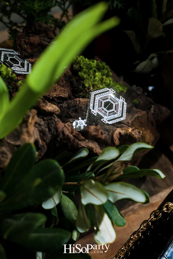 PHYA: The Geometry Collection