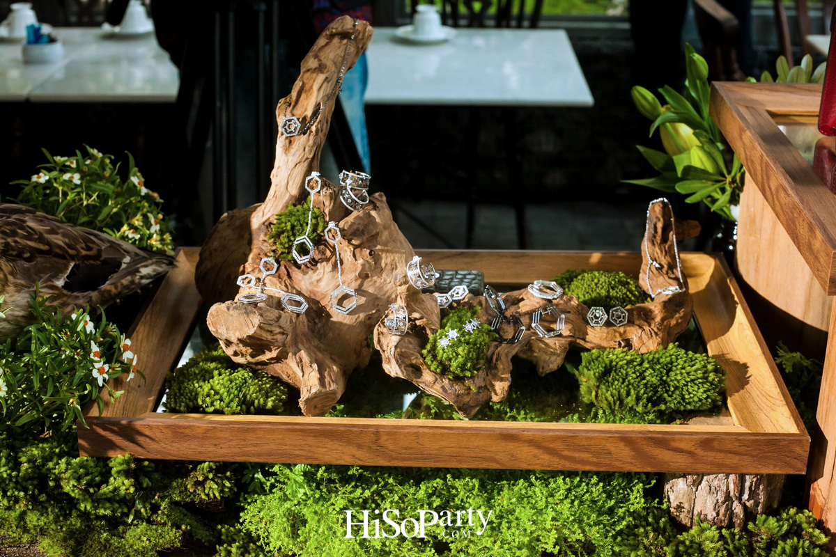 PHYA: The Geometry Collection