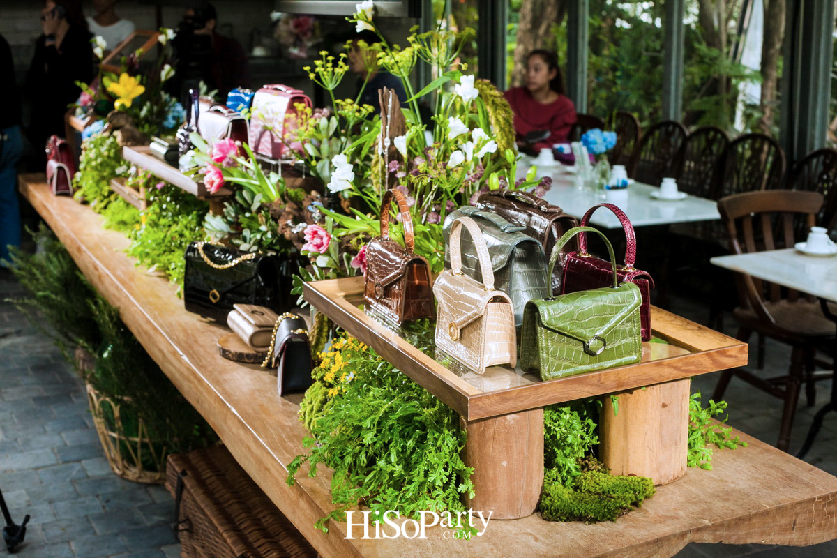 PHYA: The Geometry Collection