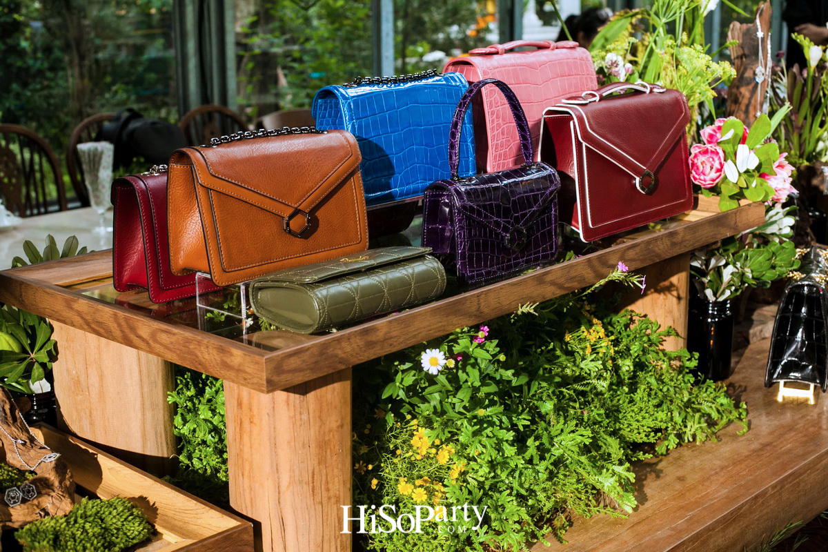 PHYA: The Geometry Collection