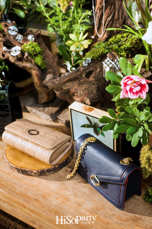 PHYA: The Geometry Collection