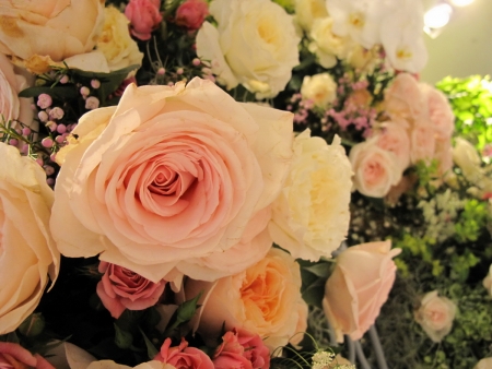 ‘ห้างเซ็นทรัล’ เตรียมฉลองครบรอบ 71 ปี อย่างยิ่งใหญ่ ตระการตากับมวลดอกไม้นับล้านดอกในคอนเซ็ปต์ ‘The World of Floral Wonders’
