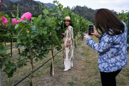 ‘Winter in the Vinyard at GranMonte Vinyard and Winery’