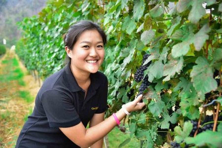 ‘Winter in the Vinyard at GranMonte Vinyard and Winery’