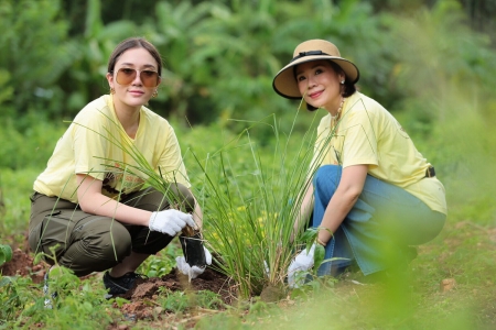 บางจากฯ จัดโครงการ ‘Stop Soil Erosion, Save our Future หยุดการชะล้างพังทลายของดิน คืนชีวิตให้แก่นมะกรูด ด้วยศาสตร์พระราชา’ 