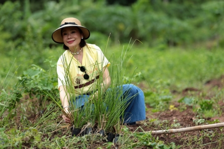 บางจากฯ จัดโครงการ ‘Stop Soil Erosion, Save our Future หยุดการชะล้างพังทลายของดิน คืนชีวิตให้แก่นมะกรูด ด้วยศาสตร์พระราชา’ 