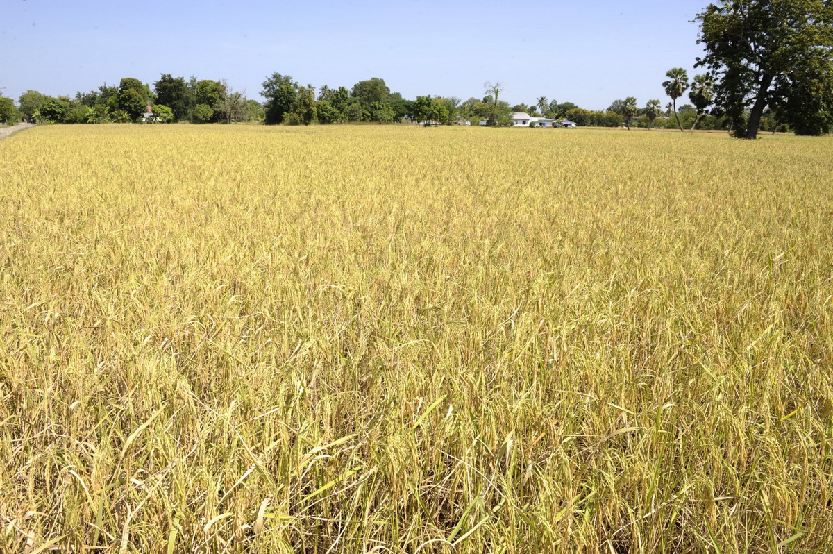 ทรัพย์แผ่นดิน ศิลป์สยาม : Thai Treasures นิทรรศการทรงคุณค่าที่คนไทยไม่ควรพลาด!