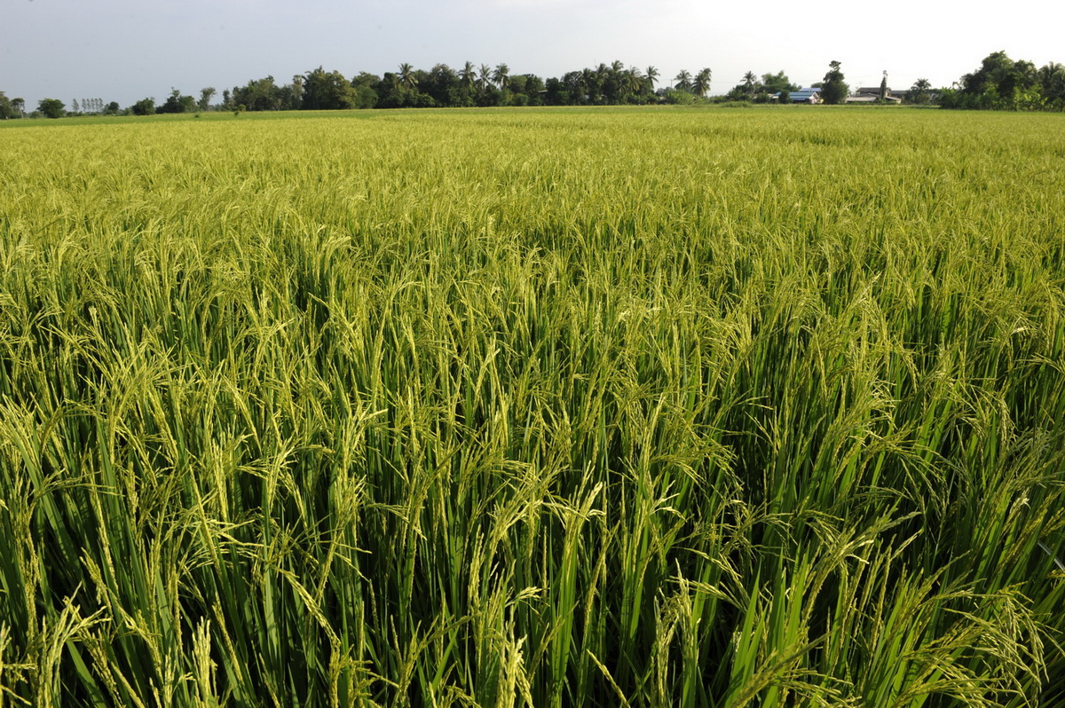 ทรัพย์แผ่นดิน ศิลป์สยาม : Thai Treasures นิทรรศการทรงคุณค่าที่คนไทยไม่ควรพลาด!