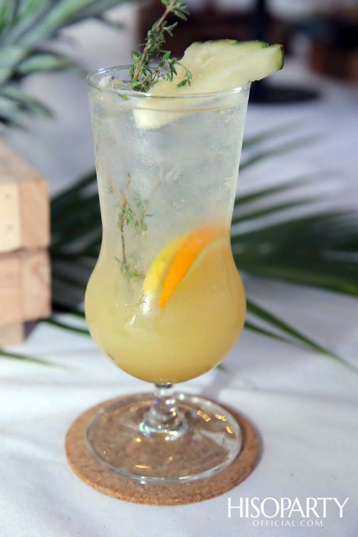 7th Year Anniversary Casa Lapin คาซ่า ลาแปง เปิดตัวสาขาใหม่ล่าสุดใจกลางเมืองพัทยา