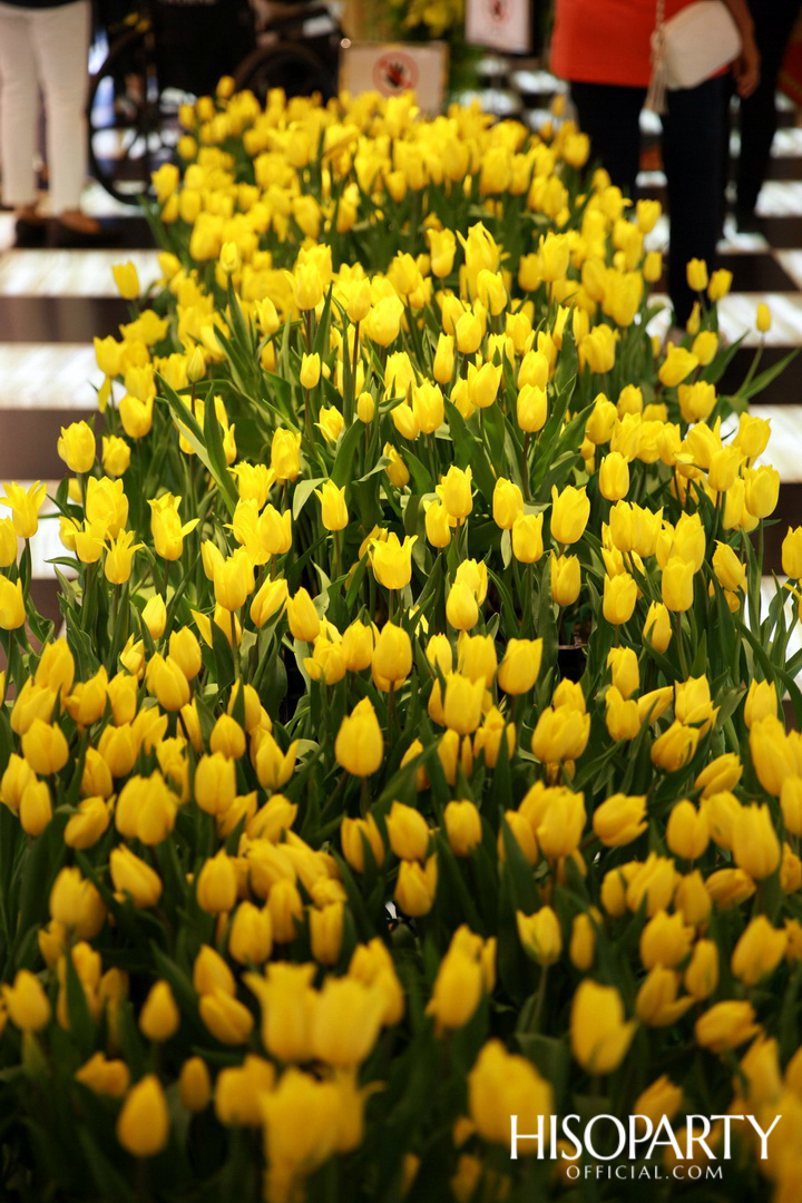 งานฉลองครบ 6 รอบ 72 ปี ‘Central Anniversary 2019’  เนรมิตสวนสวรรค์แห่งพฤกษา ตระการตาหมู่มวลดอกไม้สีเหลืองหาชมยาก