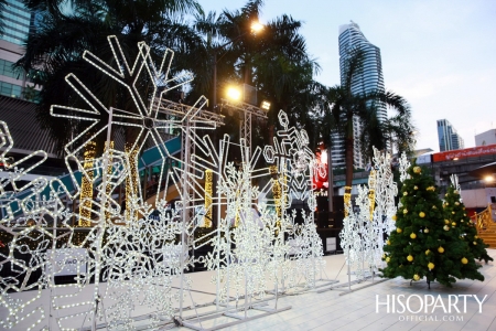 Light up Christmas Tree Celebration 2019 @ CentralWorld 