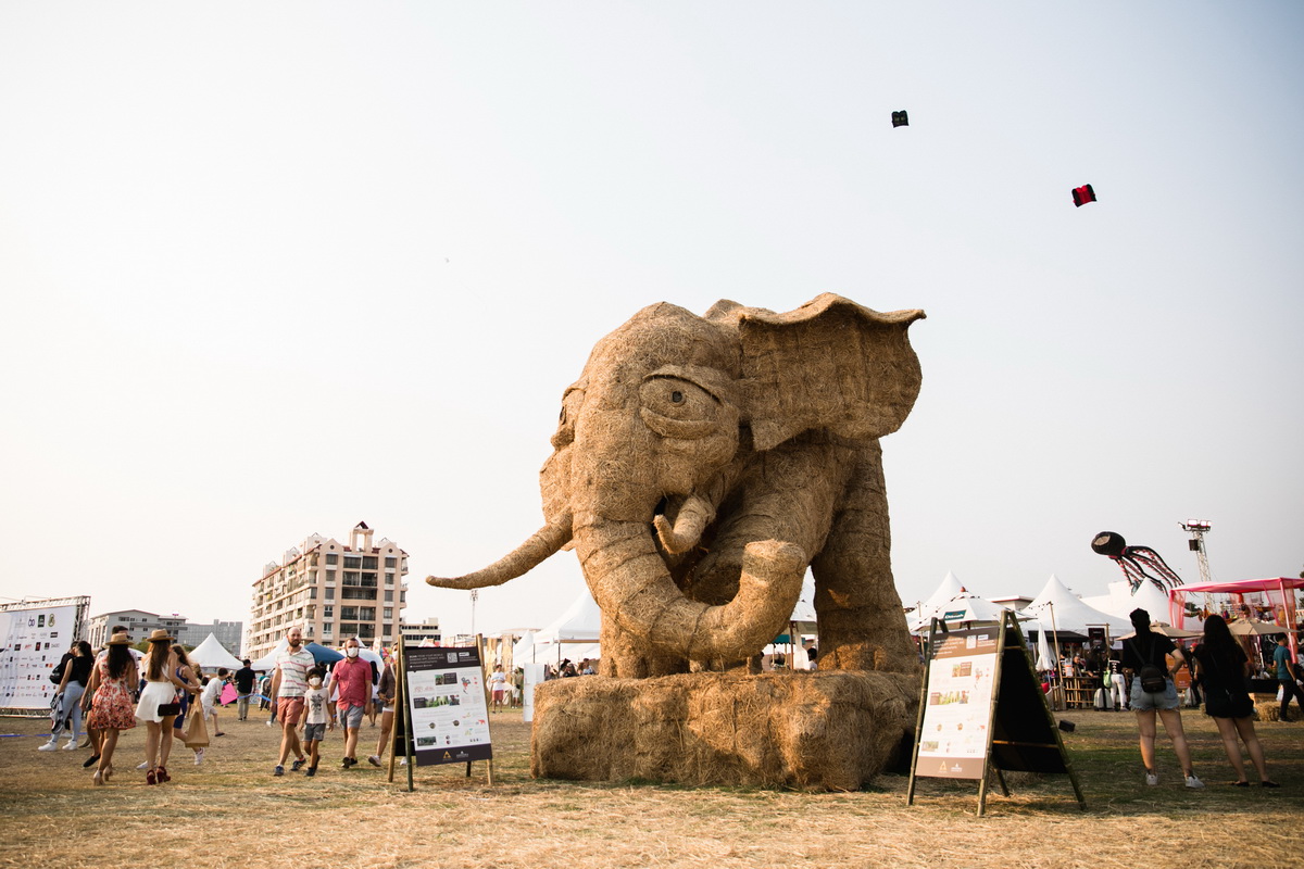 งานการแข่งขันเรือยาวช้างไทย และเทศกาลริมน้ำ เพื่อช่วยเหลือช้างไทย โดยกลุ่มโรงแรมอนันตรา