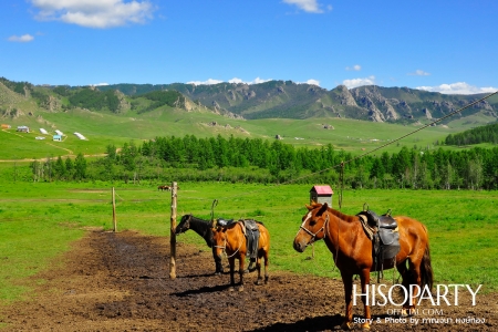 Miracle…Mongolia