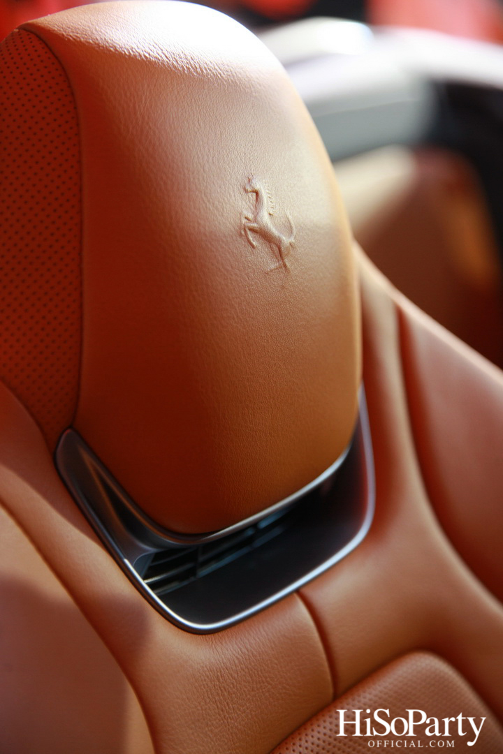 HiSoParty x Cavallino Motors